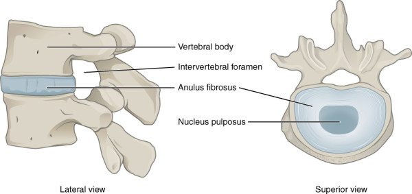 Low Back Pain